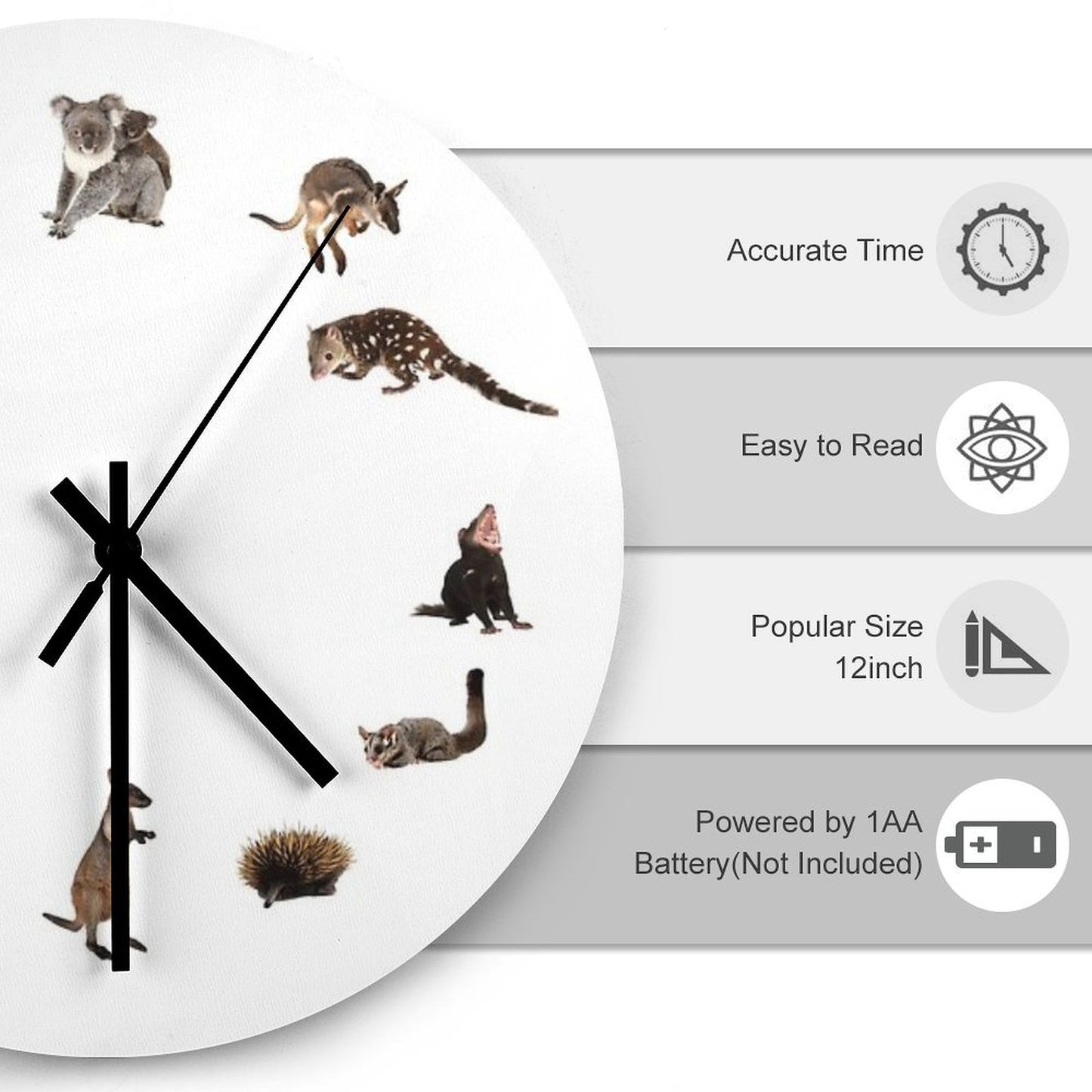 Mammals of Australia Wall Clock